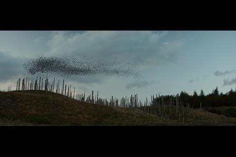 tbt_015_tfm_1180_comp.1115